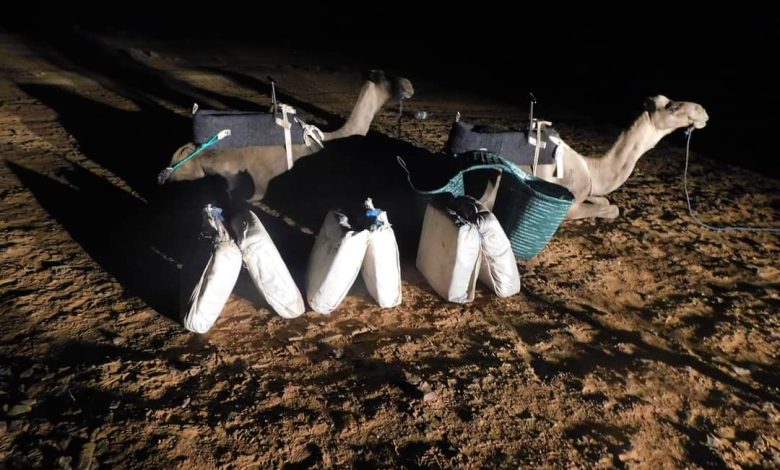 Sventare il contrabbando di 806 kg di droga Shera tramite cammelli al confine orientale