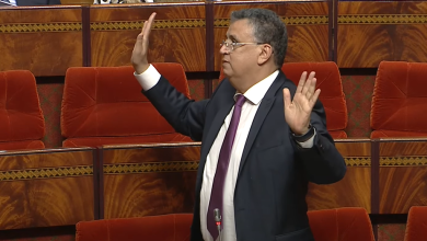 Dichiarazione di "Wehbe" con la responsabilità dei minori di minori che detengono armi bianche, solleva polemiche