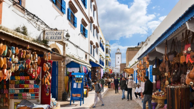 TF1 sulle orme di questi espatriati francesi alla ricerca di "una nuova vita" in Essaouira
