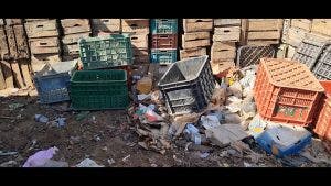 Inezgane .. professionisti vegetali sul mercato all'ingrosso hanno fatto un successo a causa di 