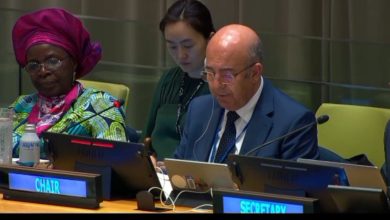 I presidenti del Marocco La 20a sessione del Forum delle Nazioni Unite sulla silvicoltura